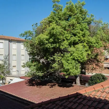 Wonderful House In Apartment Marina di Grosseto