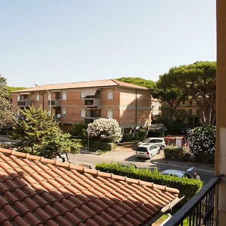 Wonderful House In Apartment